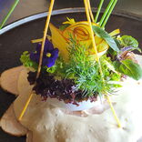 Zum Einstimmen Vitello T